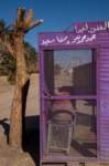 nubia_2023feb18_0470_small.jpg