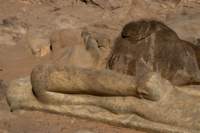 nubia_2023feb18_0474_small.jpg