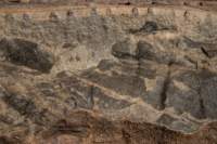 nubia_2023feb18_0478_small.jpg