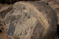 nubia_2023feb18_0480_small.jpg
