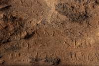 nubia_2023feb18_0483_small.jpg