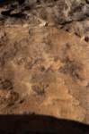 nubia_2023feb18_0484_small.jpg