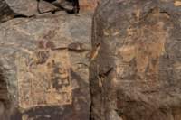 nubia_2023feb18_0487_small.jpg