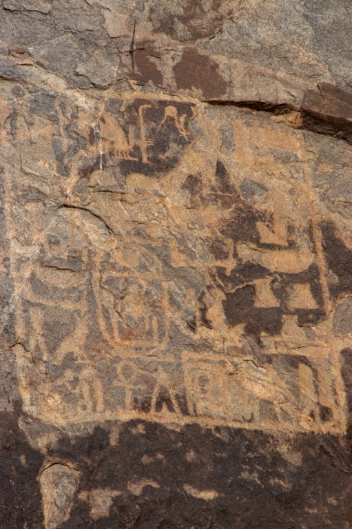 nubia_2023feb18_0490.jpg