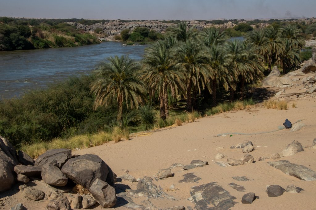 nubia_2023feb18_0492.jpg