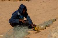 nubia_2023feb18_0493_small.jpg