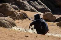 nubia_2023feb18_0494_small.jpg