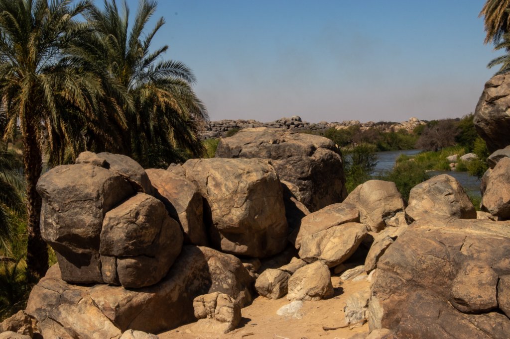 nubia_2023feb18_0495.jpg