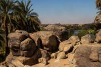 nubia_2023feb18_0495_small.jpg