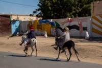 nubia_2023feb18_0498_small.jpg