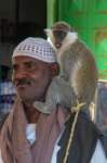 nubia_2023feb18_0515_small.jpg