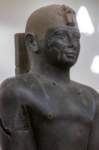nubia_2023feb18_0528_small.jpg