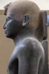 nubia_2023feb18_0529_small.jpg
