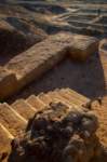 nubia_2023feb18_0543_small.jpg