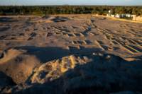 nubia_2023feb18_0549_small.jpg