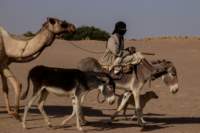 nubia_2023feb19_0568_small.jpg