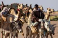 nubia_2023feb19_0570_small.jpg