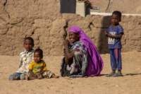 nubia_2023feb19_0577_small.jpg
