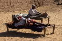 nubia_2023feb19_0583_small.jpg