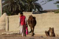 nubia_2023feb19_0587_small.jpg
