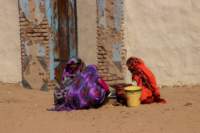 nubia_2023feb19_0602_small.jpg