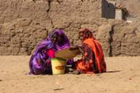 nubia_2023feb19_0603_small.jpg