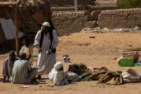 nubia_2023feb19_0613_small.jpg
