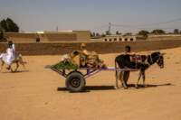 nubia_2023feb19_0615_small.jpg