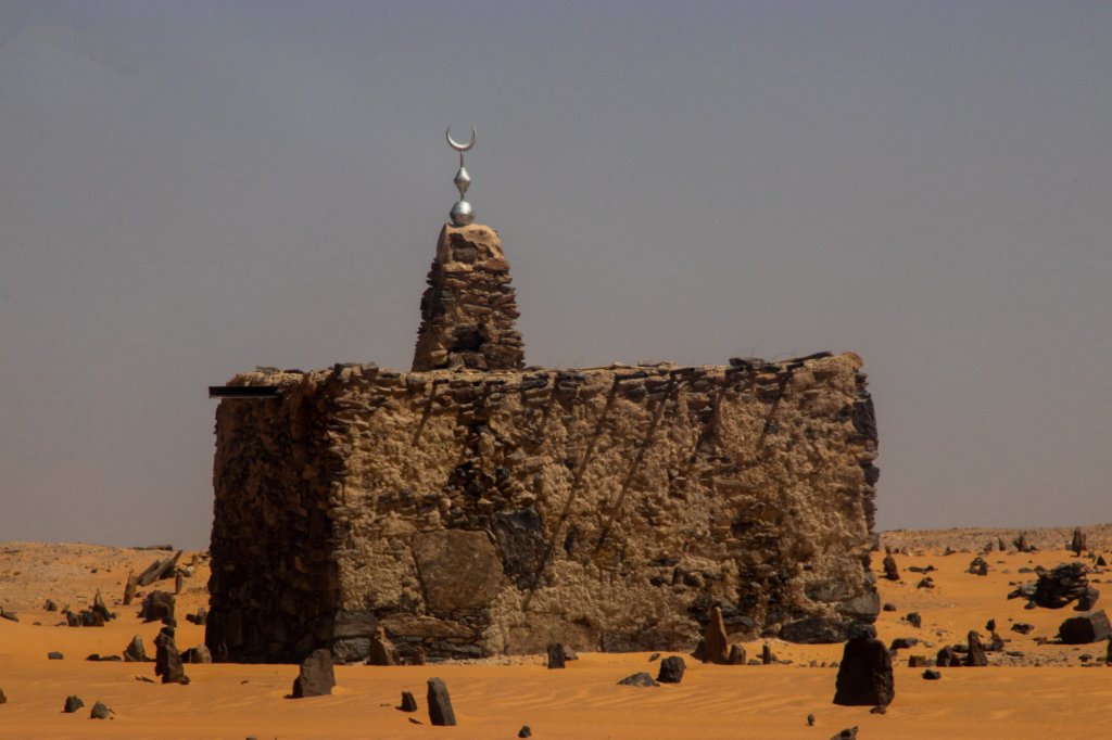 nubia_2023feb19_0617.jpg