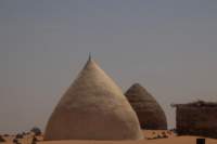 nubia_2023feb19_0618_small.jpg