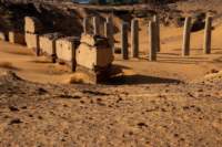 nubia_2023feb19_0624_small.jpg