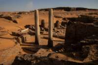 nubia_2023feb19_0625_small.jpg