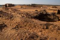 nubia_2023feb19_0629_small.jpg