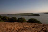 nubia_2023feb19_0630_small.jpg