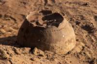 nubia_2023feb19_0632_small.jpg