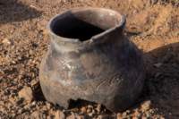 nubia_2023feb19_0639_small.jpg