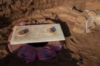 nubia_2023feb19_0640_small.jpg
