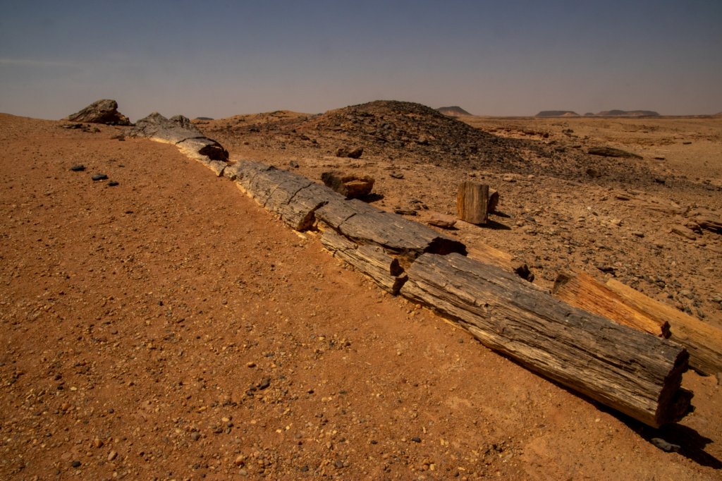 nubia_2023feb20_0788.jpg