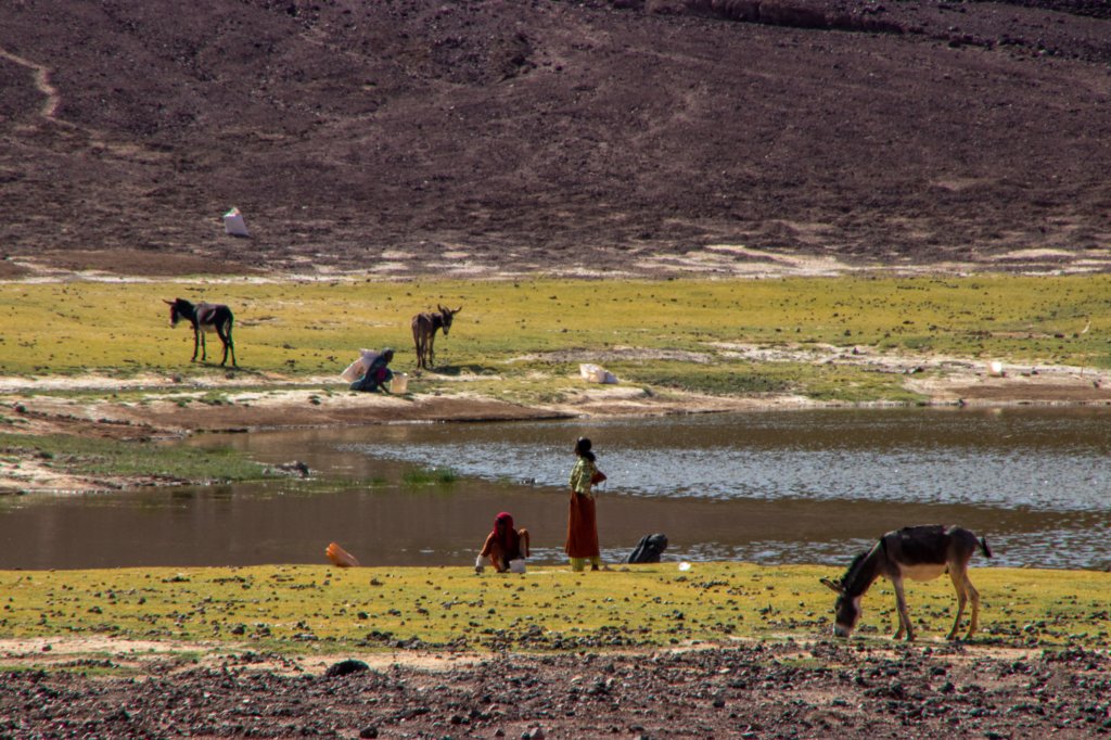 nubia_2023feb21_0934.jpg