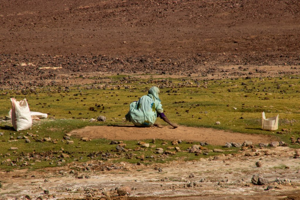 nubia_2023feb21_0948.jpg