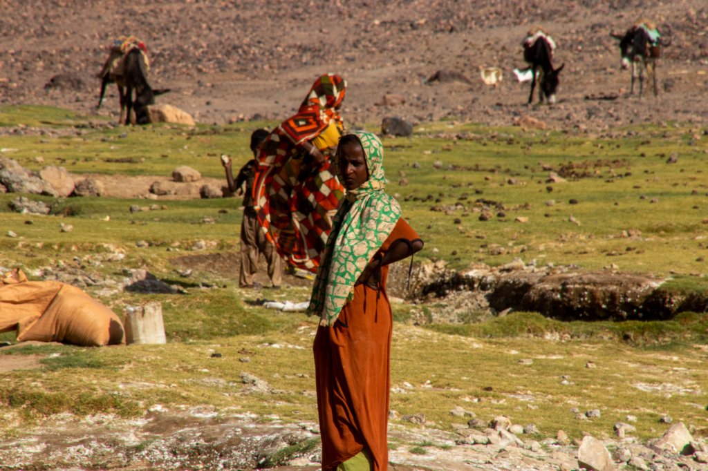 nubia_2023feb21_0955.jpg