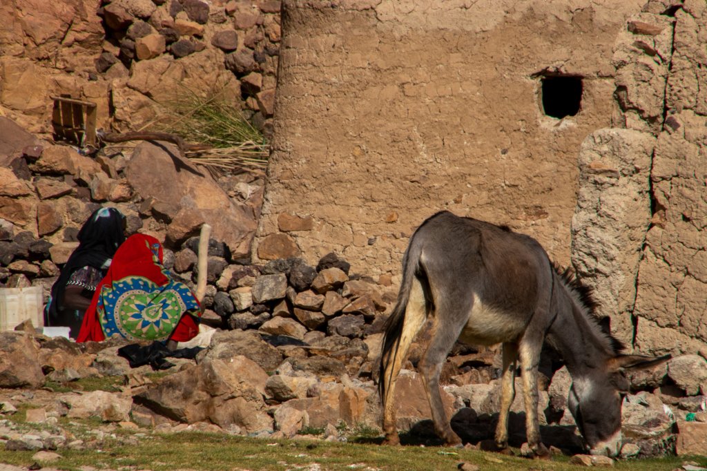 nubia_2023feb21_0956.jpg