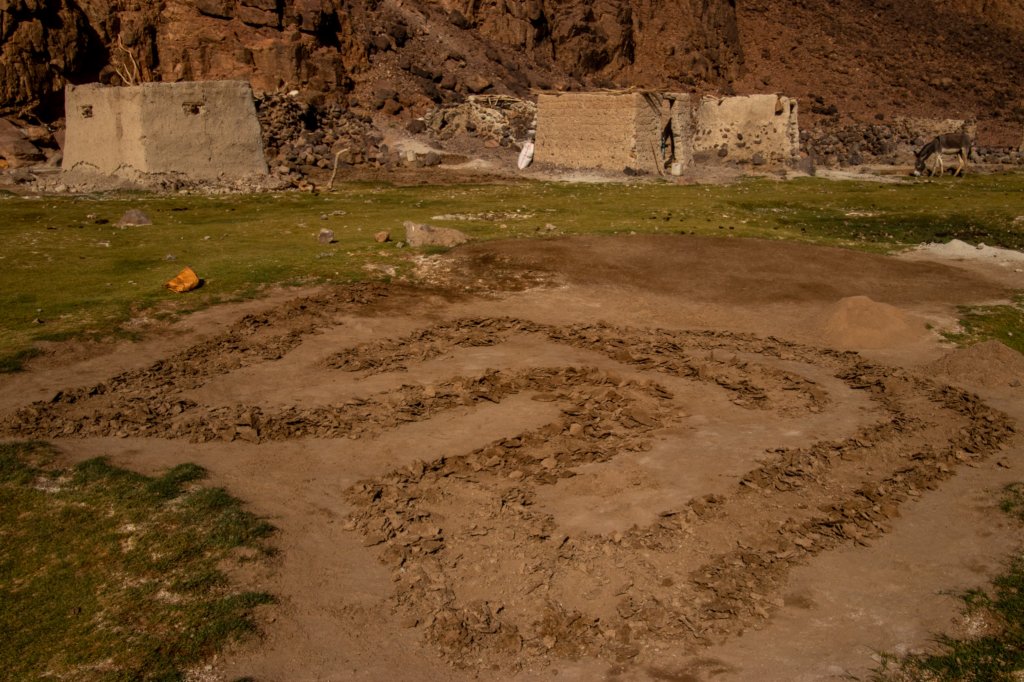 nubia_2023feb21_0962.jpg