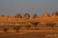 nubia_2023feb23_1069_small.jpg