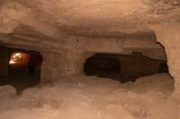 nubia_2023feb23_1073_small.jpg