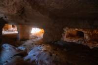 nubia_2023feb23_1074_small.jpg