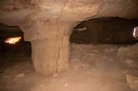 nubia_2023feb23_1075_small.jpg