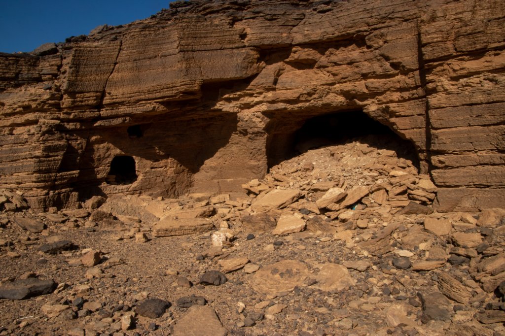 nubia_2023feb23_1076.jpg