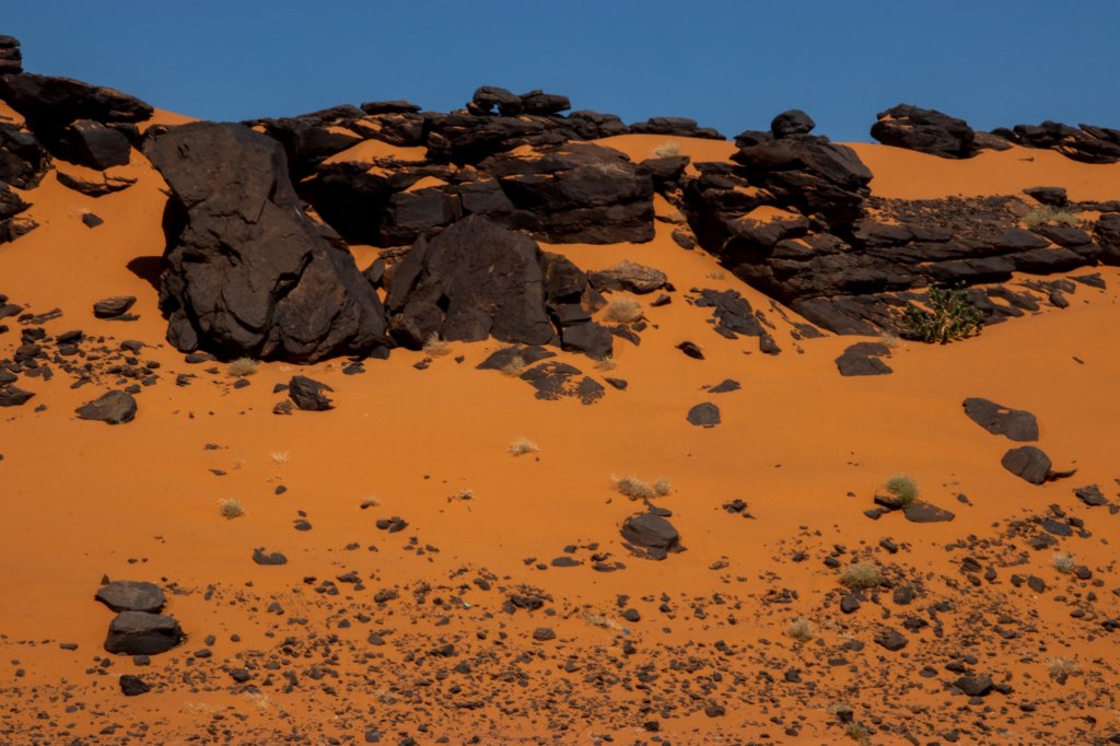 nubia_2023feb23_1080.jpg