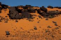 nubia_2023feb23_1080_small.jpg